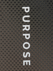 Hypermesh PRO Plus Running Singlet (Terracotta Brown)